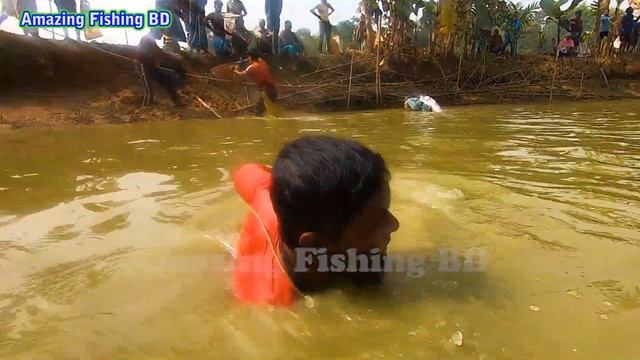 Awesome Many Big Tilapia Fish Hunting | Reanna Erdman смотреть онлайн