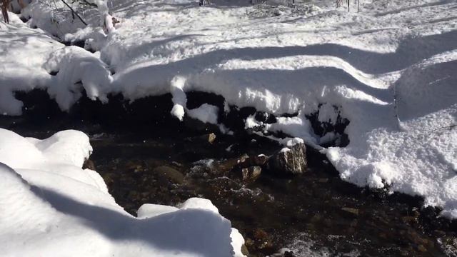 Неудавшийся поход смотреть онлайн