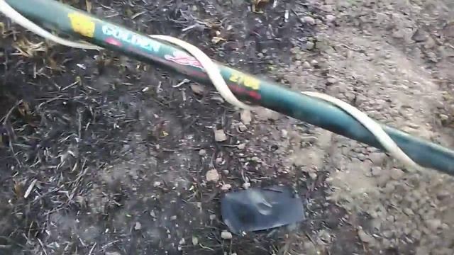 Мой Пират смотреть онлайн