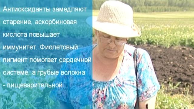 Фиолетовая картошка смотреть онлайн