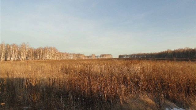 Продажа больших земельных участков в Новосибирской Области. смотреть онлайн