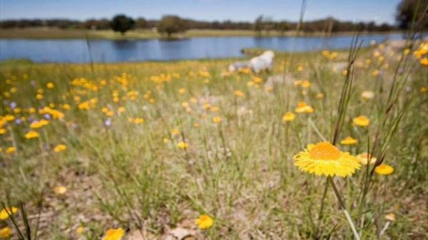 buddha bar touch and go strainght to number one (dreamcatchers remix)