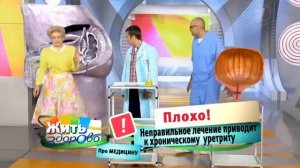 Уретрит. Неслучайные последствия «случайных» связей