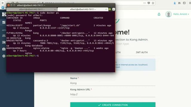Curso de API Management: Gestión de APIs con Kong смотреть онлайн