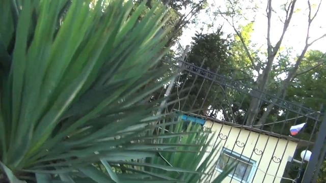 Беспредел в БУР 2 продолжение смотреть онлайн