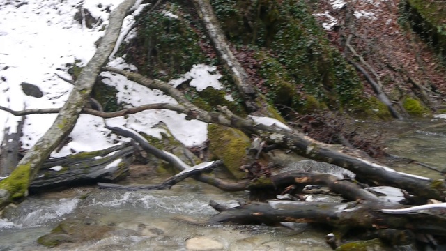 00007 смотреть онлайн