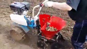 Картофелесажалка для мотоблока Нева