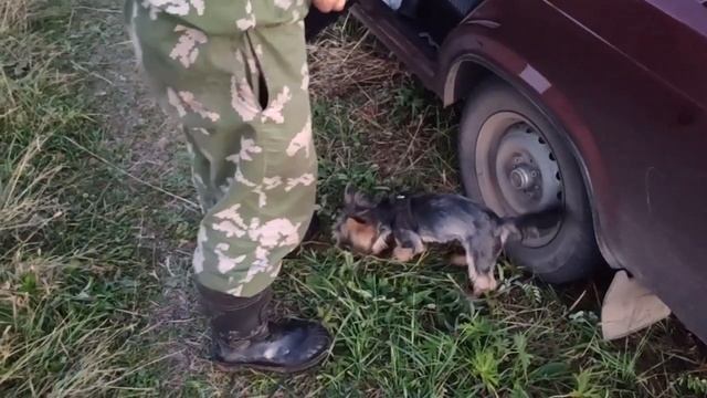 рыбалка и только улов смотреть онлайн