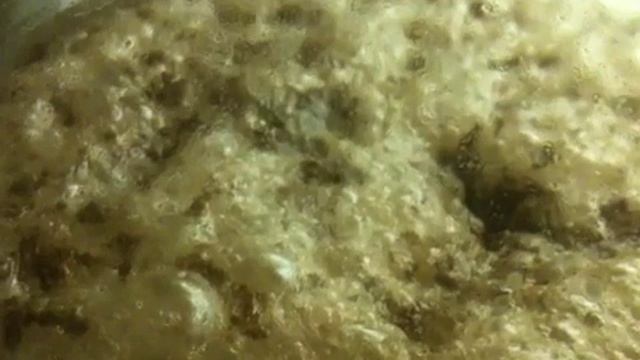 Fermenting (closeup on krausen) смотреть онлайн