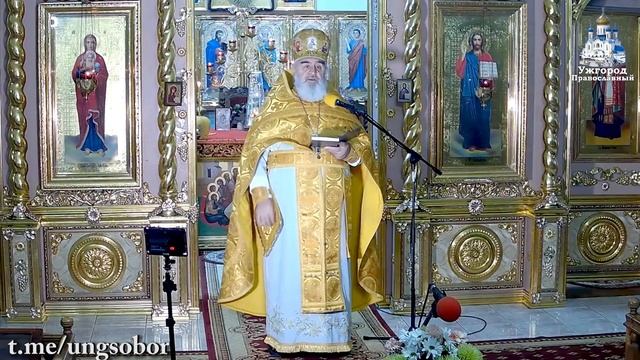 Мы зато и терпиме удары, что познали Христа Іисуса як Спасителя. 02.12.2023, прот. Димитрій Сидор смотреть онлайн