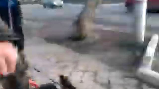 Подкотовка к каникроссу