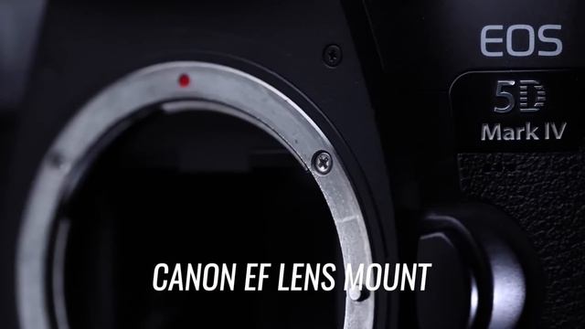 Best Budget Cameras in 2023 | Best Cheap Camera For Photo & Video смотреть онлайн