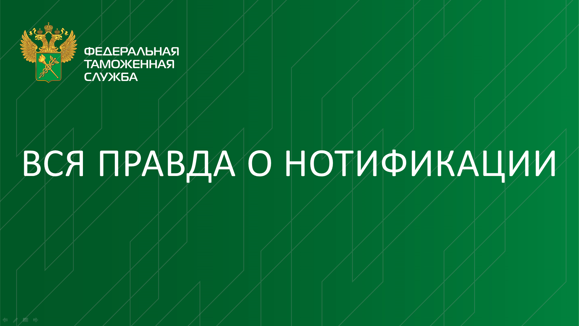 Вся правда о нотификации смотреть онлайн