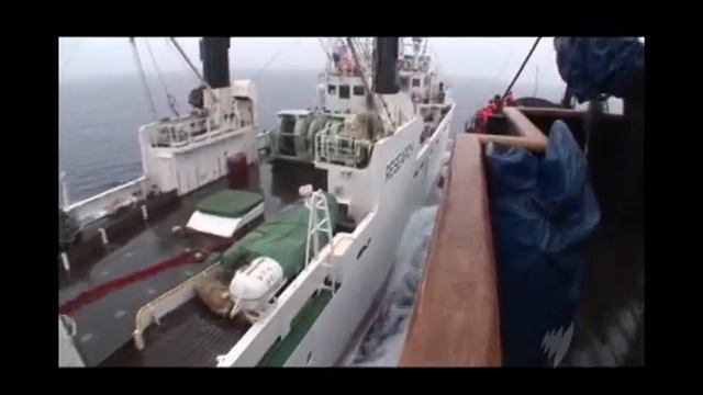 Sea Shepherd arrives in Australia смотреть онлайн