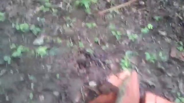 Primitive hunting tool build - Atlatl смотреть онлайн