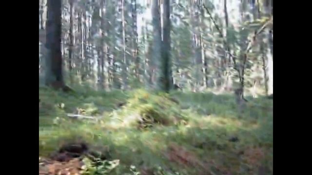 Первый клип. Буба Касторскй песни про коп. 18 ненормативные тексты.