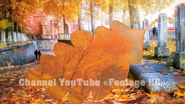 Autumn 1, 2, 3 (21) Transition ProShow Producer (Example / Sample) смотреть онлайн