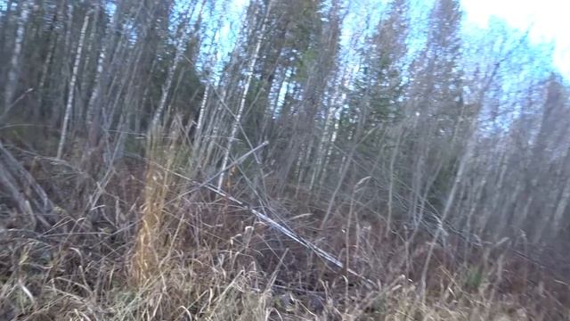 Вечерняя прогулка по бывшей УЖД перед закатом/ Сбор остатков когда то именуемой вечной УЖД в пакет. смотреть онлайн