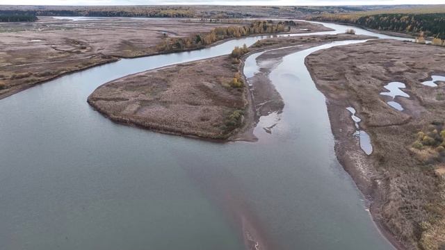 Шаврята. Обва