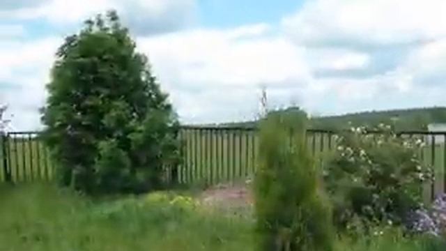 Дом с эксклюзивным садом и парком смотреть онлайн