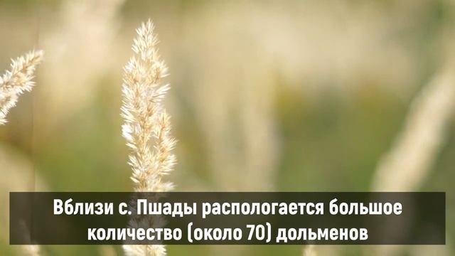 Джиппинг по горной реке Пшаде смотреть онлайн