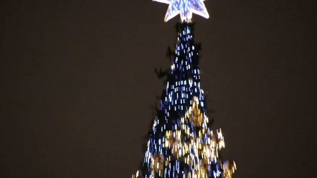 Новогодние прогулки 2019-2020. 31.12.2019 г. Часть вторая. Дворцовая набережная и Дворцовая площадь смотреть онлайн