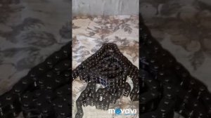 ГЛ 164 om 642 Замена цепи . Протяжка цепи.