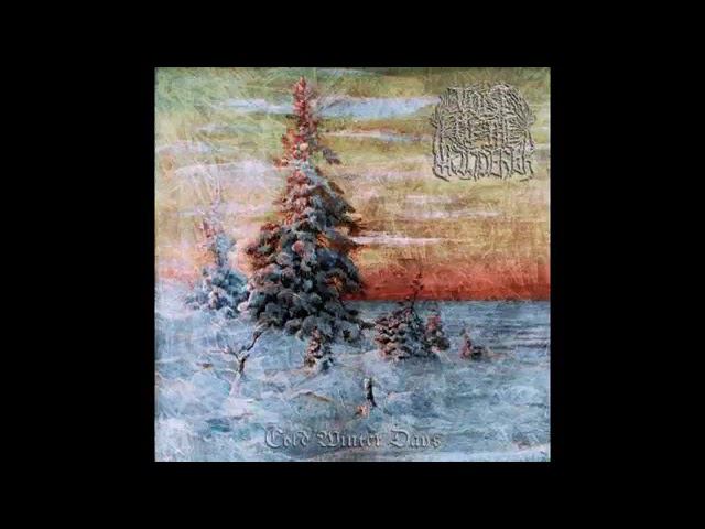 Voice Of The Wanderer  - Cold Winter Days