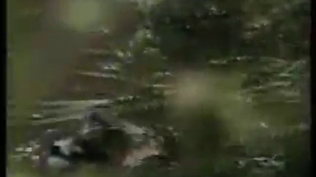 Дарвин. Происхождение видов. Часть 1. смотреть онлайн