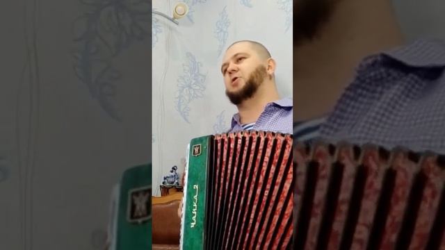 Гармонист с женой поют #исконныепесни #семейныйфольклор #песниподгармонь смотреть онлайн