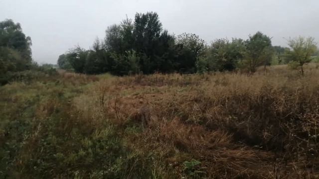 Перспективы раннего подъёма. смотреть онлайн