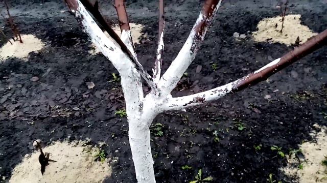 Сошёл Снег. Очень ТЕПЛО. 17 декабря 2022г. Погода Дарит СЮРПРИЗЫ!!!👍👍👍🙂💖 смотреть онлайн