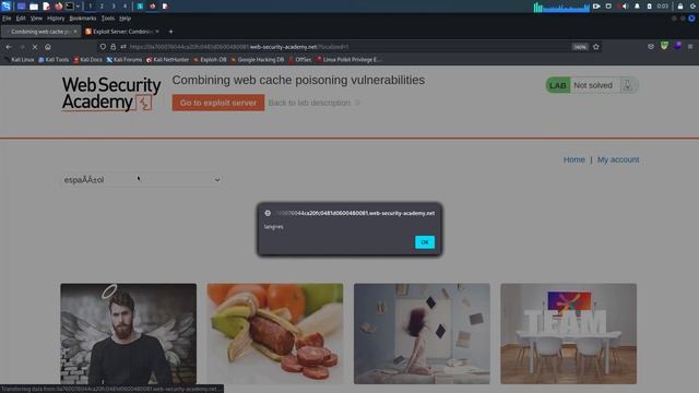 Combining Web Cache Poisoning Vulnerabilities-Lab#06