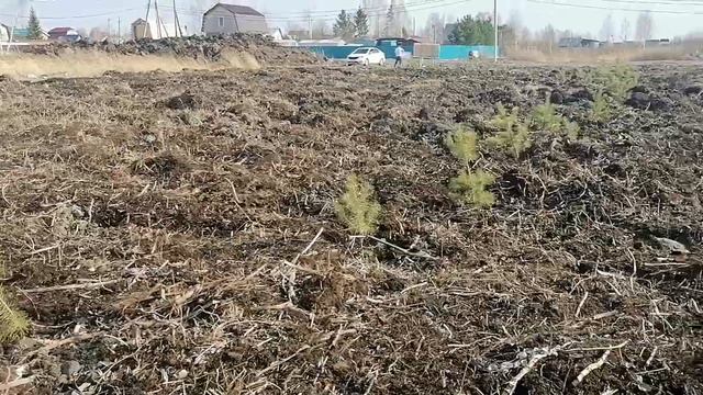 Участки у воды Липовый остров смотреть онлайн
