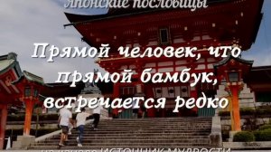 Правдивые слова до Мурашек- Мудрые цитаты со смыслом- которые стоит послушать