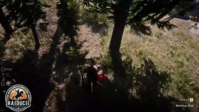 71?| RED DEAD REDEMPTION II | Bagam azi niste munca pe Haiducii смотреть онлайн