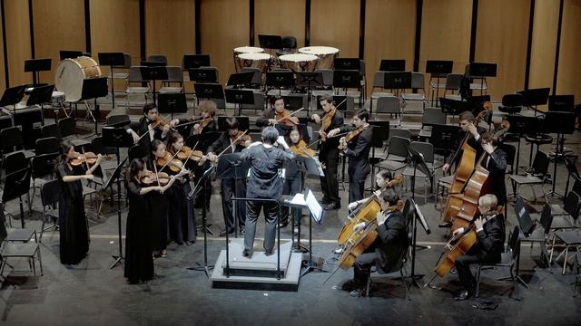 Chamber Orchestra Serenade for Strings, Op 22 by Antonin Dvorak смотреть онлайн