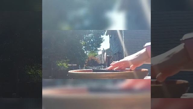 Видео обзор мини фонтана, работающего от солнечной батареи. смотреть онлайн