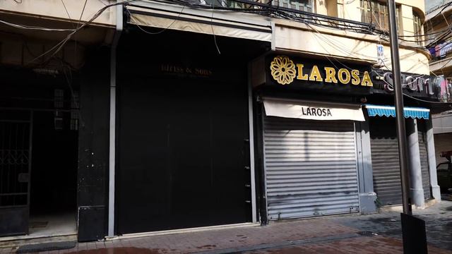 Lebanese STREET FOOD TOUR in Sidon - Brain Sandwiches & Bread Factory in Saida, Lebanon! смотреть онлайн