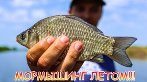 Карась, краснопёрка, судак... Всё на мормышинг! Рабочие приманки и снасть для мормо!