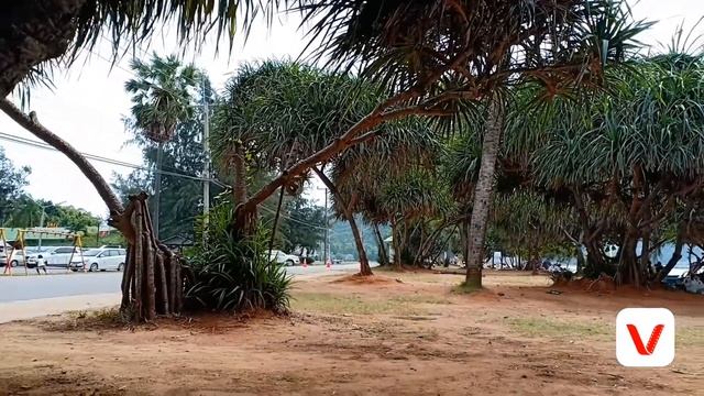 Travel Toei Ngam Beach -[BANGLAMUNG SCHOOL]•M.4/4 смотреть онлайн