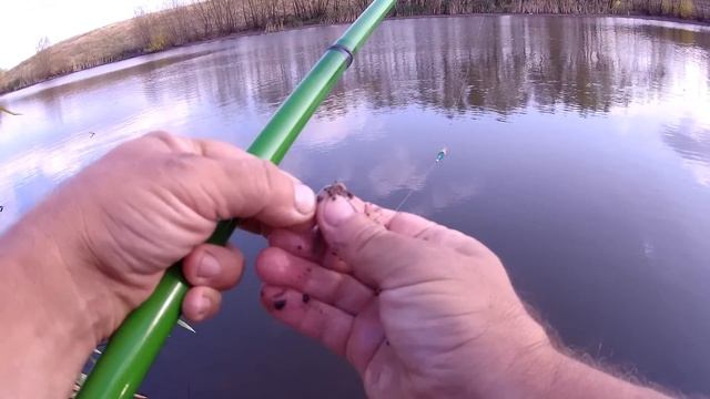 НА ЧТО ЛОВИТЬ КАРАСЯ В ОКТЯБРЕ.Рыбалка на карася .Эксперементы с наживками.