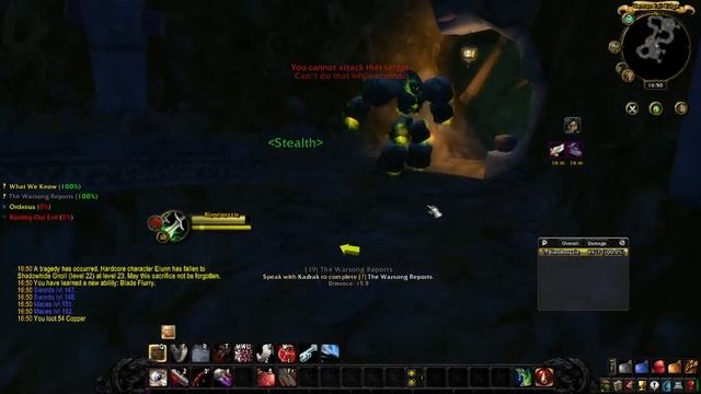 What We Know quest (turtle wow custom quest) смотреть онлайн