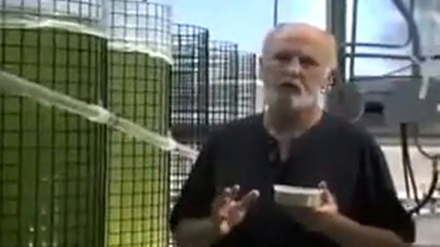 Фитопланктон источник жизни смотреть онлайн