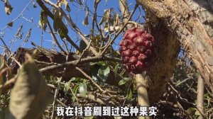 Люди, забытые в горах: жизнь горных отшельников в Китае