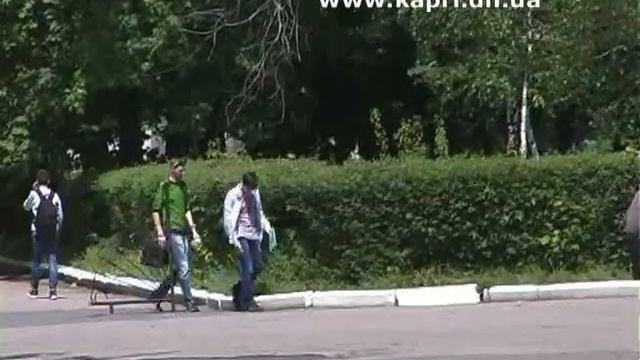 На городских клумбах высаживают петунии смотреть онлайн