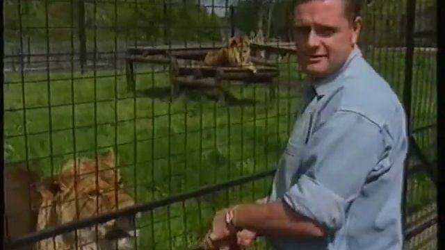 Gazza at a Safari Park - Funny Outtakes! смотреть онлайн