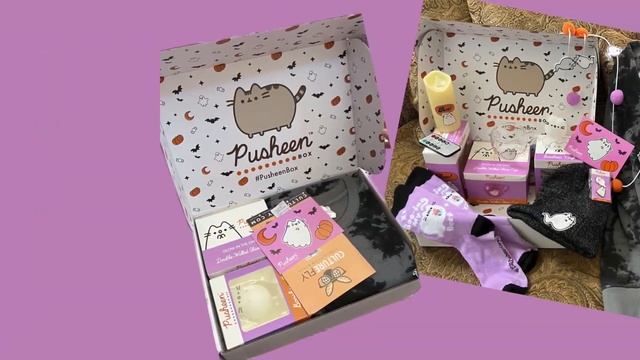 10 Pusheen Boxes Exclusive Collections #pusheen #pusheenbox