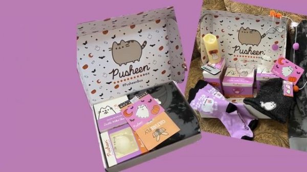 10 Pusheen Boxes Exclusive Collections #pusheen #pusheenbox