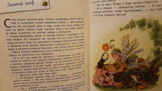 Истории сказочного леса. Цветочные феи. Зимний эльф. смотреть онлайн